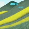 小坡、晨暮 - 油菜花