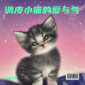 小雨轻柔 - 调皮小猫的爱与气