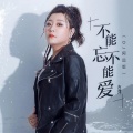 吉萍 - 不能忘不能爱