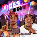 Vibes of the Night (Explicit)