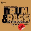 Bass Star Presents Drum & Bass In The Jungle, Vol. 1 (DJ Mix)