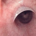 Mascara