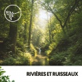 Rivières et Ruisseaux : Mélodies Aquatiques