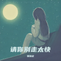 张佳欣 - 请你别走太快