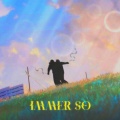 IMMERSO