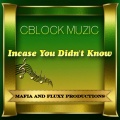 Cblock muzic - INCASE YOU DIDNT KNOW