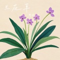 野哥 - 兰花草