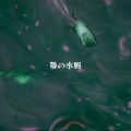 夢の水脈 (ひとしずくの永遠)