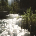 Lakes Glow