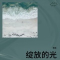 枫馗 - 绽放的光