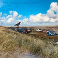 Emotionally Absent Minded Consideration - Shepherd Earth