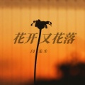闫先生 - 花开又花落