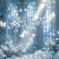 橘子妹 - 醒不来的梦