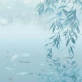 May - 云淡风轻