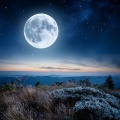 Musica de Jazz para Hoteles、Naturaleza registrada、Resplandor de la naturaleza - Música Tranquila Relaja La Noche