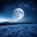 Música de jardinería、Marinos、Banco de sonidos de agua - Melodías Nocturnas Serenas Calman