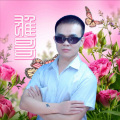 雄哥 - 光辉岁月