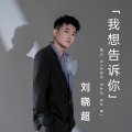 刘晓超 - 我想告诉你