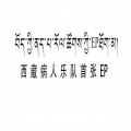西藏病人 - 那些鸟