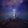 DJ竹子 - 你的样子