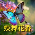蝶舞花香