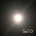 SaEO - 묘지