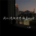 我从没被世界温柔以待