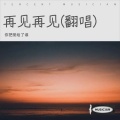 你把爱给了谁 - 再见 再见