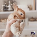 Aww! So Adorable!!!