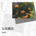 曾林辉 - 七星瓢虫