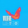 Wildfire (DnB)