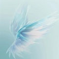 瑗月一关韵 - 梦想的翅膀