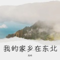 庞彬 - 我的家乡在东北