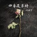 四季花不待