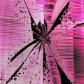 ROTE ROSE