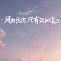 风的忧伤只有云知道