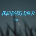 任秋 - 我陪你熬过的苦