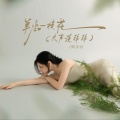 阿美呀 - 单恋一枝花