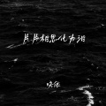 晓依 - 片片相思化为泪