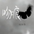 张新华 - 吻痕