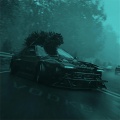 VodKe、HSHK、人面兽心、花凯 - One Night Progresive