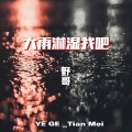 野哥 - 大雨淋湿我吧