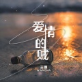 王娜 - 爱情的贼