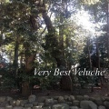 Very Best Veluche