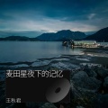 王秋君 - 乡间小路的童年时光