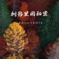 树影里的秘密