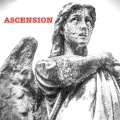 Ascension - BEAUTY IN ALL THINGS