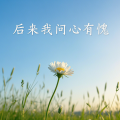 后来我问心有愧