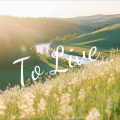 汉堡包 - To Live