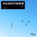 小白兔佳仔 - 花火